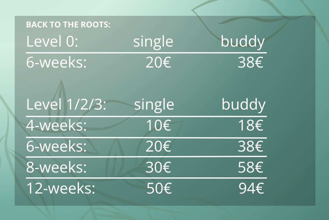 Preise für Zouk Privatstunden