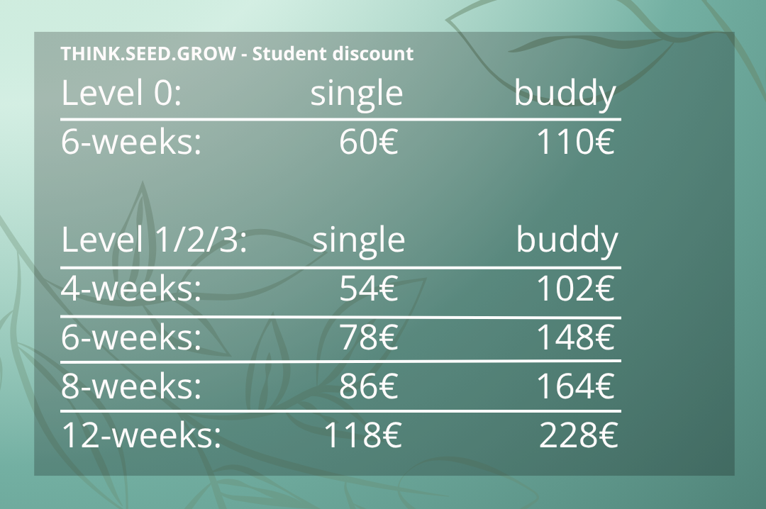 Preise für Zouk Privatstunden